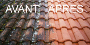 AK11T AVANT APRES DEMOUSSANT